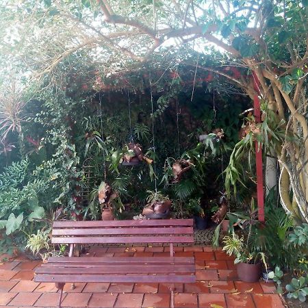 Aloha Hostel Кабу-Фриу Экстерьер фото